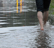 T.Narbuto g.