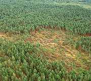 Audros nuniokota Lietuva