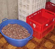 Pogrindinis mėsos cechas