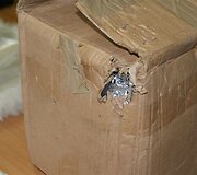 Kartoninėje dėžėje paslėptas kokainas