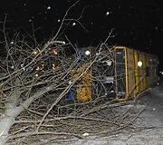 Prie&scaron; apvirsdamas autobusas nulaužė medį
