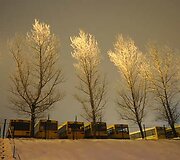 Avarija įvyko visai greta autobusų parko
