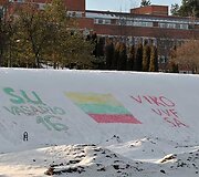 Sveikinimas ant sniego