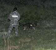 Nukritusio parasparnio paie&scaron;ka Vilniaus rajone