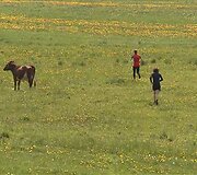 &bdquo;Nyk&scaron;tieti&scaron;ko triatlono&ldquo; akimirkos