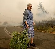 Ugnis naikina viską, kas pasitaiko jos kelyje.