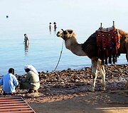Kitokia žiema Egipto kurorte