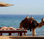 Kitokia žiema Egipto kurorte