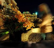 Kitokia žiema Egipto kurorte
