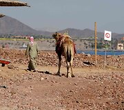 Kitokia žiema Egipto kurorte