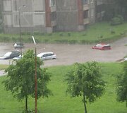 Lūtis &Scaron;ilainiuose
