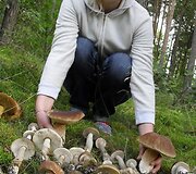 Vokietijoje aptikti grybai.