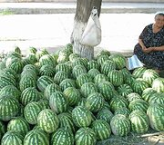 Prekiautoja arbūzais