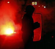 Karadžičiaus &scaron;alininkai vienijasi