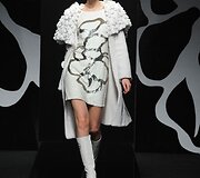 Kolekcijos modelis