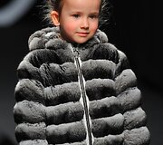 Kolekcijos modelis