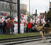 Protestas Berlyne