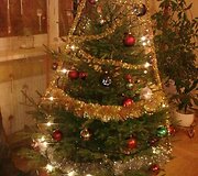 15min.lt skaitytojos Kamilės Kalėdų eglutė.