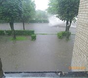 Liūtis sukėlė nepatogumų Kazlų Rūdos gyventojams.