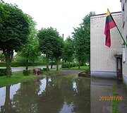 Liūtis sukėlė nepatogumų Kazlų Rūdos gyventojams.