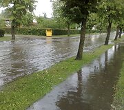 Liūtis sukėlė nepatogumų Kazlų Rūdos gyventojams.