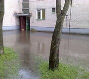 Liūtis sukėlė nepatogumų Kazlų Rūdos gyventojams.