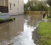Liūtis sukėlė nepatogumų Kazlų Rūdos gyventojams.