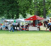 Raseiniuose Valstybės diena paminėta surengiant žirgų lenktynes-krosą.