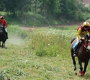 Raseiniuose Valstybės diena paminėta surengiant žirgų lenktynes-krosą.
