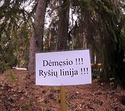 Nemenčinėje, vyksta tarptautinės pratybos &bdquo;Stiprus Liūtas&ldquo;.