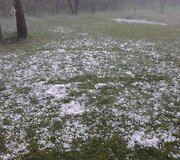 Karmėlavos rajonas. 