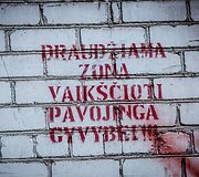 Ugniagesių pratybos