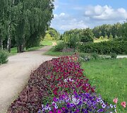 R.&Scaron;irvinsko diena &ndash; naujame amplua 