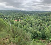 R.&Scaron;irvinsko diena &ndash; naujame amplua 