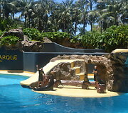 Atostogos Tenerifėje