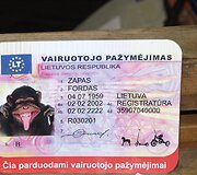 Klaipėdiečiai ir miesto svečiai džiaugiasi uostamiesčio &scaron;vente.