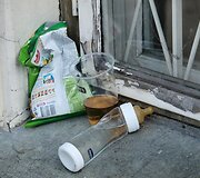Klaipėdoje savaitgalį &scaron;urmuliuoja &scaron;ventės svečiai ir dalyviai. 