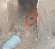 Renovacija Trakų g. 8, Elektrėnuose