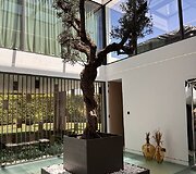 Vila Ispanijoje