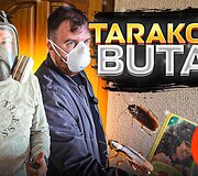 Butas Kaune