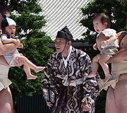 Kartą per metus Japonijos sumo sunkiasvoriai kovotojai virsta netradicinėmis auklėmis.