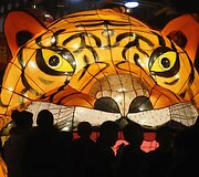 Žibintų festivalis Kinijoje