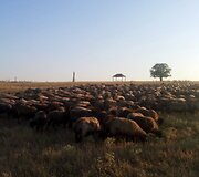 &bdquo;Frumu&scaron;ika&ldquo; moldavų kalba rei&scaron;kia gražuolė. 15min.lt vie&scaron;ėjo Frumu&scaron;ika Nova (Naujojoje Gražuolėje&ldquo; &ndash; liet.).