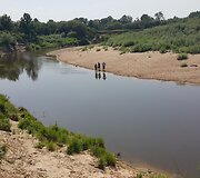 Krioki&scaron;kiuose nuskendo jaunas vyras.