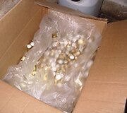 Muitinės kriminalinės tarnybos (MKT) pareigūnai spalio 2&ndash;3 d. krėtė Tauragę ir Tauragės rajono gyvenvietes.