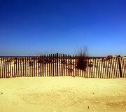 Sandy Hook