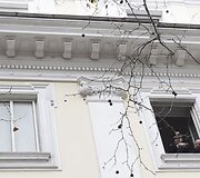 Įvykio vietoje.