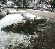 Sniegas Velykų rytą 