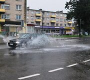 Liūtis Radvili&scaron;kyje