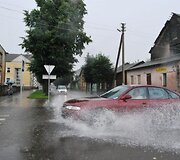 Liūtis Radvili&scaron;kyje